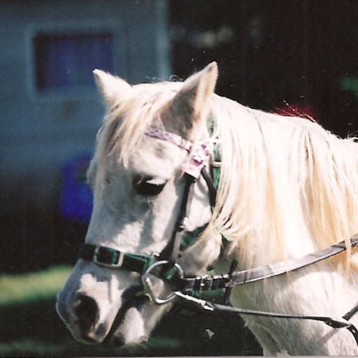 Cheryl Poole Photo 30