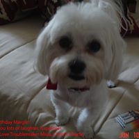 Christine Malicki Photo 3