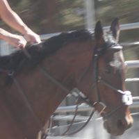 Debra Bunting Photo 9