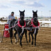 Donald Erickson Photo 8