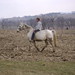 Everett Gray Photo 11