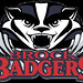 Brock Badger Photo 1