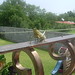 Larry Hinds Photo 13