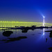Wai Lau Photo 13