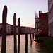 Dawn Canale Photo 6