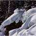 Scott Atteberry Photo 7