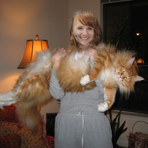 Julia Boyd Photo 18