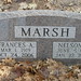 Fran Nelson Photo 5