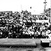 Tommy Sandoval Photo 6