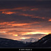 Claudio Cuneo Photo 5