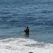 Sean Mccarty Photo 10