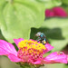 Linda Dodson Photo 6