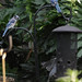 Jay Dove Photo 6
