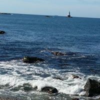 Michelle Caputo Photo 19