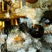 Carol Baum Photo 11
