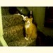 Regina Goins Photo 6