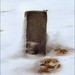 Fred Wind Photo 4
