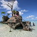 Willy Ang Photo 4