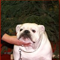 Christine Kocsis Photo 1