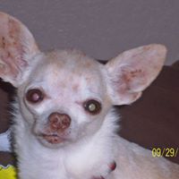 Rosemary Luna Photo 13