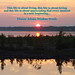 Dianne Bruce Photo 3