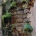 Roland Alley Photo 6