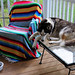 Robert Huskey Photo 4