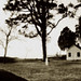 Reginald Camp Photo 1