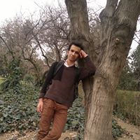 Farid Rahmani Photo 9