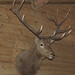 Dave Bundy Photo 7