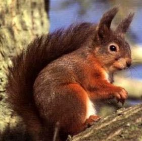 Janet Stuart Photo 13