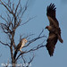 Don Kite Photo 11