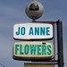 Anne Flowers Photo 11