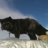 Caren Thompson Photo 17