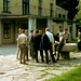 Wolfgang Huhn Photo 10