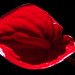 Shin Wu Photo 7
