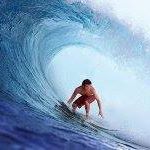 Mark Lesser Photo 20