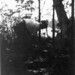 Flora Camp Photo 3