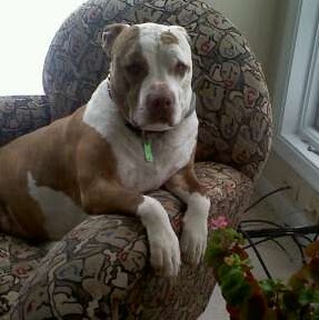 Michelle Sarson Photo 1
