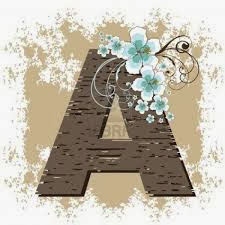 Aleena Ali Photo 15