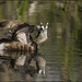 Bill Ables Photo 11