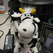Bessie Law Photo 6