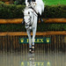 Kim Canter Photo 9