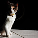 Sophie Furr Photo 3