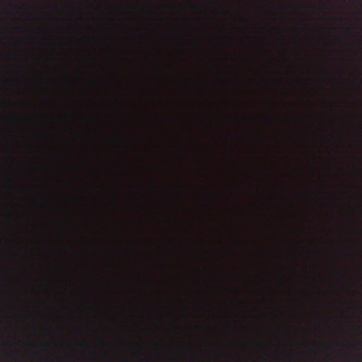 Tyler Quick Photo 15