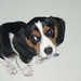 Charles Breeding Photo 9