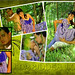 Marvin Chua Photo 9