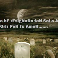 Jose Pereida Photo 22