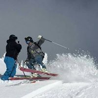 Terry Lefebvre Photo 12