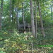 Howard Collier Photo 5